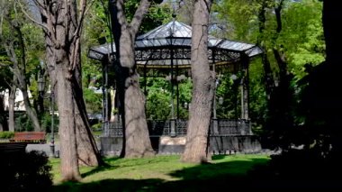 Odessa, Ukrayna 11.05.2023. Odessa, Ukrayna 'nın tarihi merkezindeki şehir parkında güneşli bir bahar günü 4K