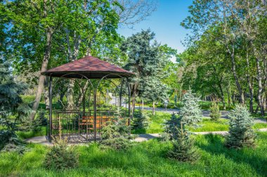 Odessa, Ukrayna 05.05.2023. Ukrayna 'nın Odessa kentindeki Zafer Parkı' nda güneşli bir bahar gününde sokaklar ve çardaklar