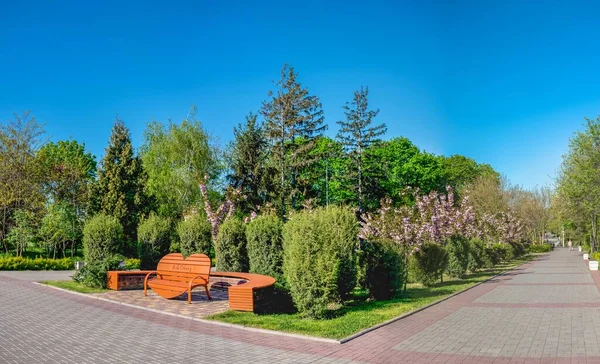 Одесса Украина 2023 Год Аллеи Парка Победы Одессе Украина Солнечный — стоковое фото