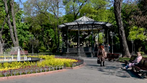 Odessa Ucrania 2023 Alcoba Parque Ciudad Centro Histórico Odessa Ucrania — Vídeos de Stock