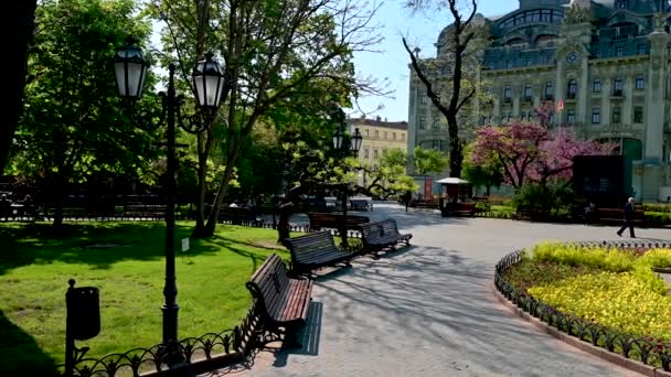 ウクライナ オデッサ 2023年5月5日 ウクライナのオデッサの歴史的中心部にあるシティパーク 晴れた春の日 — ストック動画