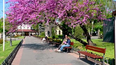 Odessa, Ukrayna 11.05.2023. Ukrayna 'nın Odessa kentindeki şehir parkı, güneşli bir bahar günü 4K
