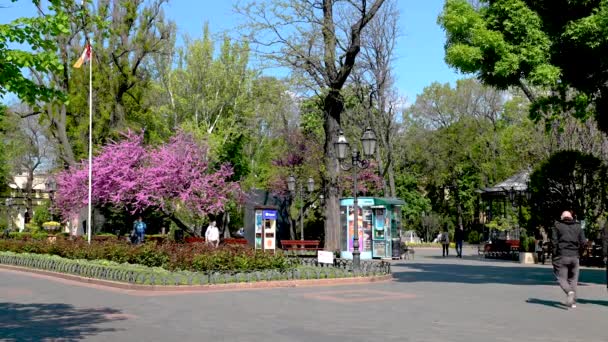 Odessa Ukraine 2023 City Park Historical Center Odessa Ukraine Sunny — Stock Video