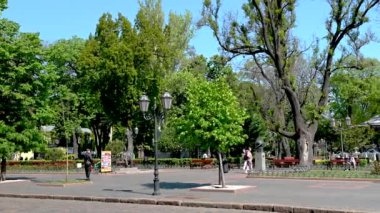Odessa, Ukrayna 11.05.2023. Ukrayna 'nın Odessa kentindeki şehir parkı, güneşli bir bahar günü 4K