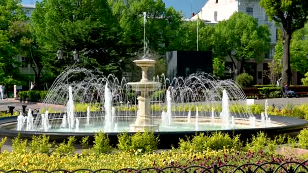 Odessa Ukraina 2023 Stadspark Den Historiska Stadskärnan Odessa Ukraina Solig — Stockvideo