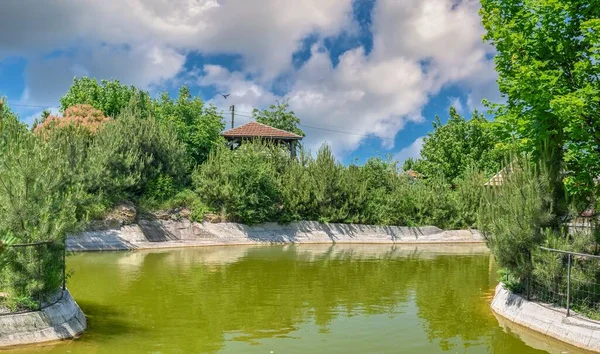 Odessa Ukrajna 2023 Június Public Eco Park Vasyuki Odesszában Ukrajnában — Stock Fotó