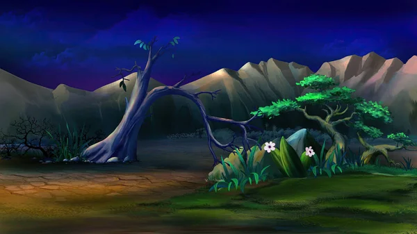 在明月当空的夜晚 非洲热带草原的风景 山脚下生长着植物 数码绘画背景 — 图库照片