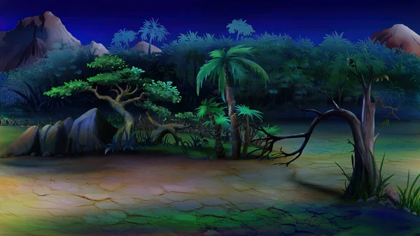 Пейзаж Африканской Саванны Растениями Песке Лунную Ночь Цифровая Живопись Фон — стоковое фото