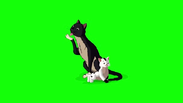 Μαύρη Γάτα Και Λευκό Γατάκι Της Άλφα Ματ Χειροποίητο Κινούμενο — Αρχείο Βίντεο