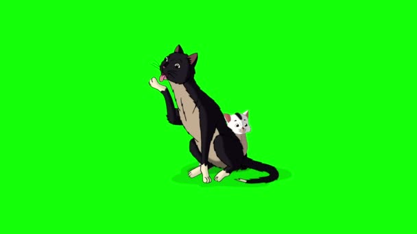 黒い猫と白い子猫のアルファマット 緑の画面に隔離された手作りのアニメーションループHd映像 — ストック動画