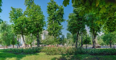 Odessa, Ukrayna 22.06.2023. Ukrayna 'nın Odessa şehrinin tarihi merkezindeki Sobornaya Meydanı' nda güneşli bir yaz gününde