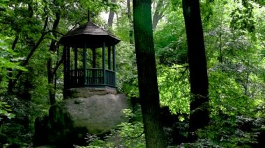 Uman, Ukrayna 28.06.2023. Uman, Ukrayna 'daki Sofiyivka Halk Parkı güneşli bir yaz günü HD