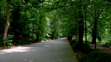 Uman, Ukrayna 28.06.2023. Uman, Ukrayna 'daki Sofiyivka Halk Parkı, güneşli bir yaz günü 4K