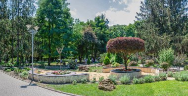 Odessa, Ukrayna 16.07.2023. Ukrayna 'nın Odessa kentindeki Gorky parkında güneşli bir yaz günü