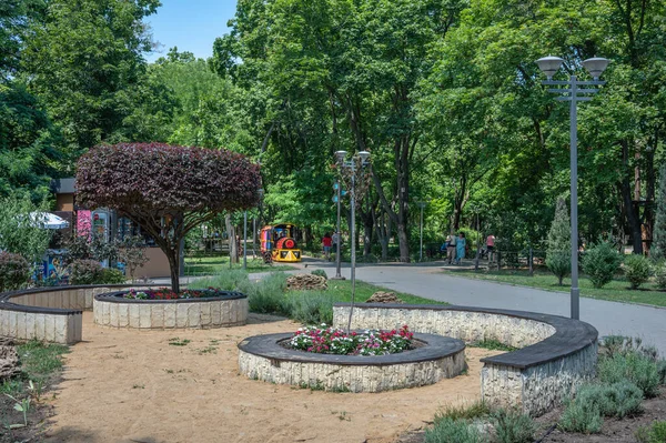 乌克兰敖德萨2023年7月16日 在一个阳光灿烂的夏日 乌克兰敖德萨戈尔基公园里的小巷 — 图库照片