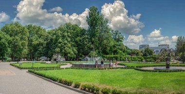 Odessa, Ukrayna 16.07.2023. Odessa, Ukrayna 'daki Gorky Parkı, güneşli bir yaz gününde