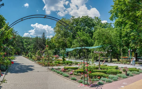 Odessza Ukrajna 2023 Július Gorky Park Odessa Ukrajna Egy Napos — Stock Fotó