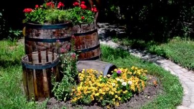 Dobroslav, Ukrayna 06.17.2023. Ukrayna 'nın Dobroslav, Odessa bölgesindeki orman şarkı parkı, güneşli bir yaz günü