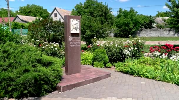 ドブロスラヴ ウクライナ 2023 ドブロスラヴ オデッサ地方 ウクライナの記憶のアレー 晴れた夏の日に4K — ストック動画