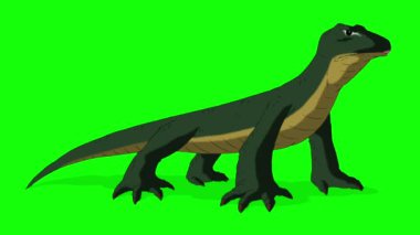 Yeşil Komodo ejderha kertenkelesi kroma anahtarına sahiptir. Yeşil ekranda izole edilmiş el yapımı HD görüntüler