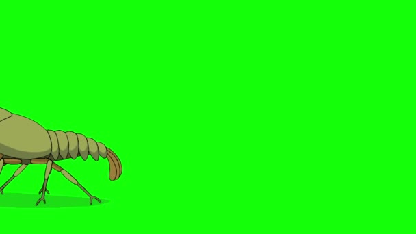 Ключ Хромы Раков Ручной Анимационный Зацикленный Кадры Изолированы Зеленом Экране — стоковое видео