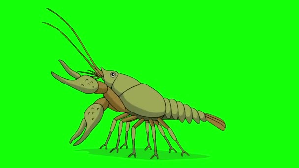Crayfish Chroma Sleutel Handgemaakte Geanimeerde Lussen Beelden Geïsoleerd Groen Scherm — Stockvideo