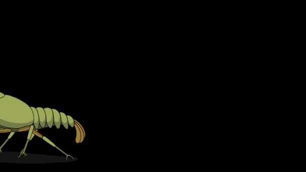 해파리 채널에 애니메이션 동영상 — 비디오