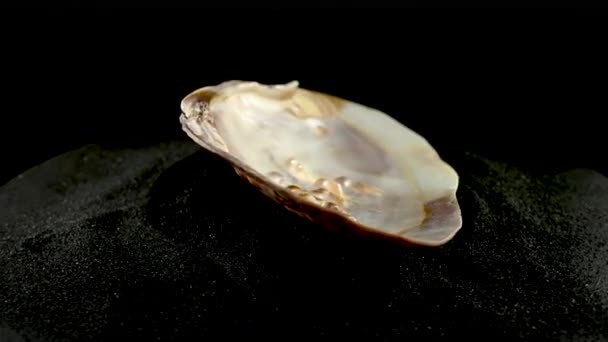 Coquille Huître Perles Mer Sur Fond Sable Noir — Video