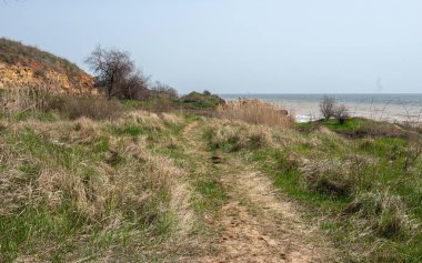 2024 'te Ukrayna' nın Odessa bölgesindeki Fontanka köyündeki vahşi bir sahilde bahar sabahı.