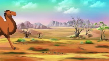 Çöldeki deve. El yapımı animasyon döngüsü 4K görüntü