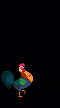 Renkli Horoz Yürüyüşleri ve Kargalar. El yapımı animasyon görüntüleri alfa kanalında izole edildi. Dikey video.
