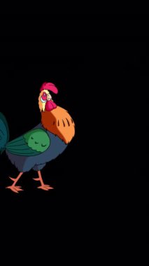 Renkli Horoz Yürüyüşleri ve Kargalar. El yapımı animasyon görüntüleri alfa kanalında izole edildi. Dikey video.