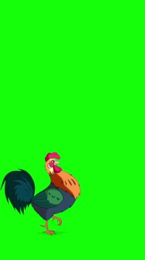 Renkli Horoz Yürüyüşleri ve Kargalar. El yapımı animasyon görüntüleri yeşil ekranda izole edildi. Dikey video.