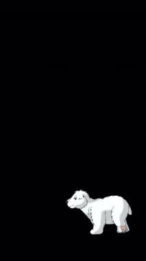 Kutup ayısı. Alfa kanalında el yapımı HD görüntüler izole edildi. Dikey video