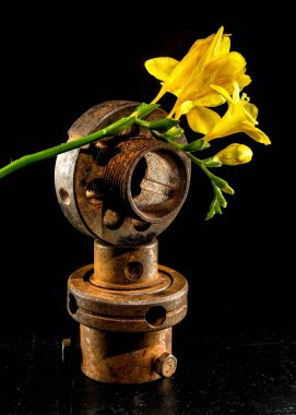 Narin bir çiçek metalin sertliğinde güzelliği bulur, dayanıklılığın ve beklenmedik büyümenin bir sembolünü sunar..