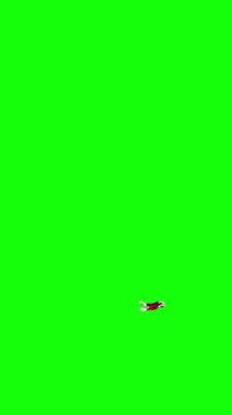 Kanat çırpan kelebek. Yeşil ekranda izole edilmiş el yapımı HD görüntüler. Dikey video