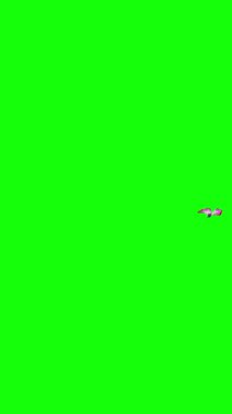 Kanat çırpan kelebek. Yeşil ekranda izole edilmiş el yapımı HD görüntüler. Dikey video