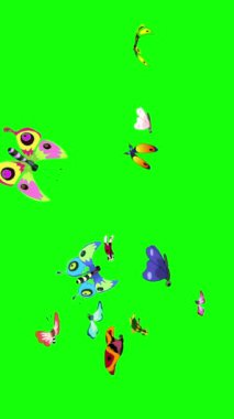 Kanat çırpan kelebek. Yeşil ekranda izole edilmiş el yapımı HD görüntüler. Dikey video