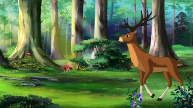 Ormanda zarif bir şekilde yürüyen boynuzlu bir geyik. El yapımı döngü HD görüntüler