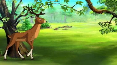 Ormanda zarif bir şekilde yürüyen boynuzlu bir geyik. El yapımı döngü HD görüntüler