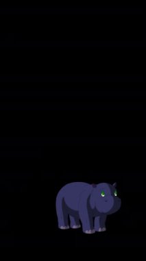 Bebek su aygırı yürüyor. El yapımı animasyon 4K görüntüsü alfa kanalında izole edildi. Dikey video