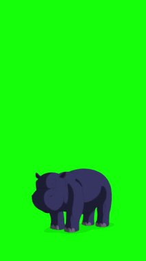 Bebek su aygırı yürüyor. El yapımı, yeşil ekranda izole edilmiş 4K görüntüsü. Dikey video