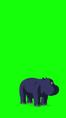 Bebek su aygırı yürüyor. El yapımı, yeşil ekranda izole edilmiş 4K görüntüsü. Dikey video