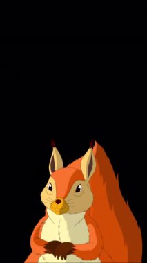 Kızıl Sincap. Alfa kanalında el yapımı HD görüntüler izole edildi. Dikey video