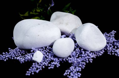 Canlı mor çiçekler arasında düzenlenmiş beyaz dekoratif taşlar. Taşlar daha küçük, tamamlayıcı mor çiçeklerden oluşan bir yatağa yerleştiriliyor. Görsel olarak çekici ve huzurlu bir bileşim oluşturuyor.