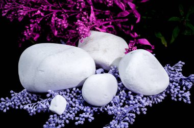 Canlı mor çiçekler arasında düzenlenmiş beyaz dekoratif taşlar. Taşlar daha küçük, tamamlayıcı mor çiçeklerden oluşan bir yatağa yerleştiriliyor. Görsel olarak çekici ve huzurlu bir bileşim oluşturuyor.