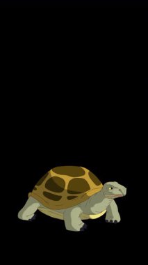 Kaplumbağa. El yapımı 2D animasyon 4K görüntü alfa kanalında izole edildi. Video düzenleme, vahşi yaşam projeleri veya kuş temalı yaratıcı çalışmalar için dikey görüntüler