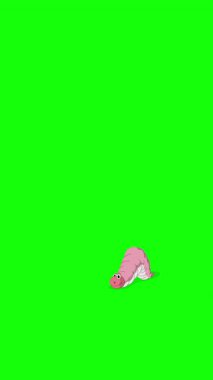 Solucan. El yapımı 2D animasyon 4K görüntü yeşil ekranda izole edildi. Video düzenleme, vahşi yaşam projeleri veya kuş temalı yaratıcı çalışmalar için dikey görüntüler