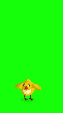 Sarı tavuk. El yapımı 2D animasyon 4K görüntü yeşil ekranda izole edildi. Video düzenleme, vahşi yaşam projeleri veya kuş temalı yaratıcı çalışmalar için dikey görüntüler