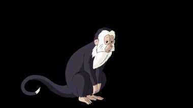 Çizgi film stili siyah beyaz maymun. Alfa kanalında el yapımı 2D animasyon HD görüntüler izole edildi. Video düzenleme veya vahşi yaşam projeleri için dikey görüntüler